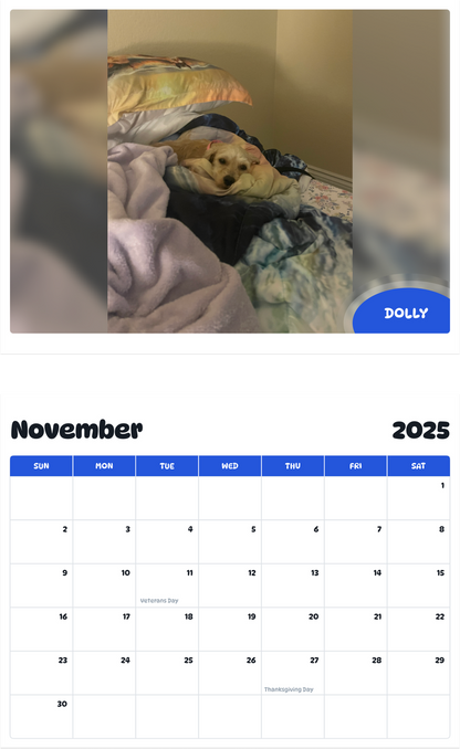 July 2025 - June 2026 Dolly - Pawidols Pet Calendar
