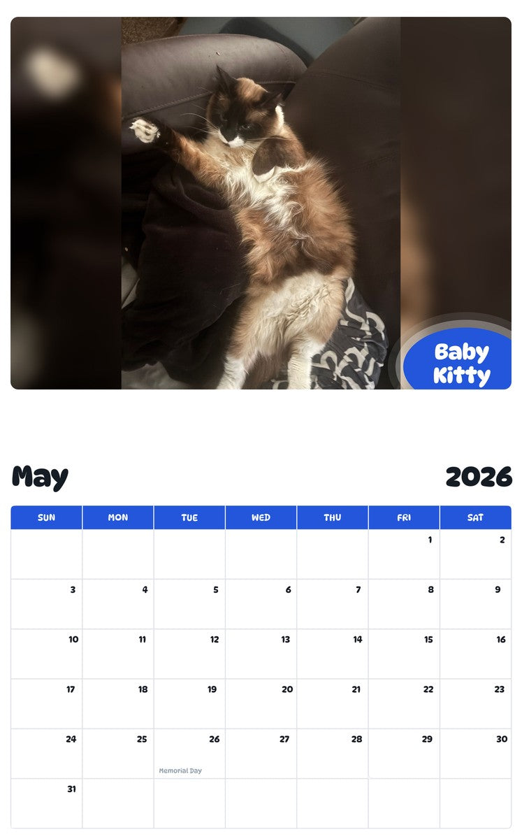 2026 - 2027 Baby Kitty - Pawidols Pet Calendar