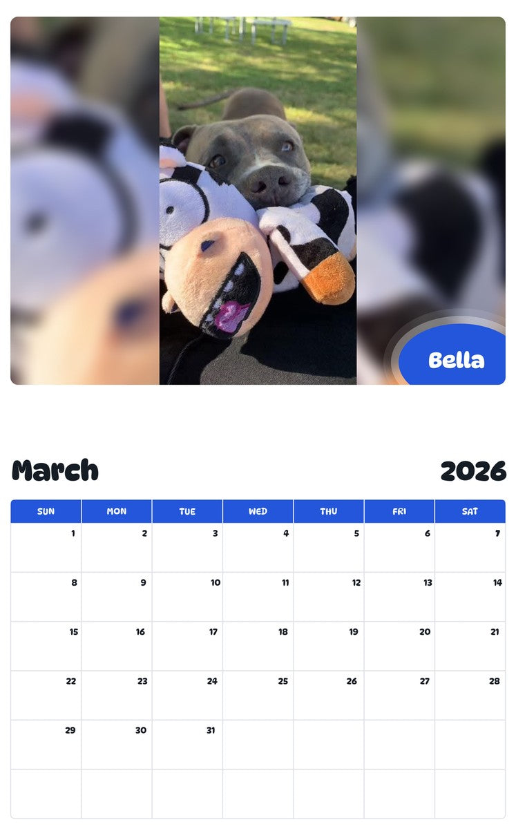 November 2025 - October 2026 Bella - Pawidols Pet Calendar
