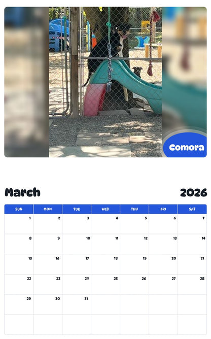 November 2025 - October 2026 Comora - Pawidols Pet Calendar
