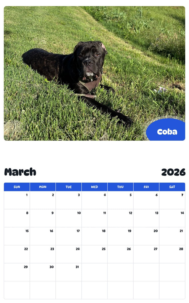 November 2025 - October 2026 Coba - Pawidols Pet Calendar