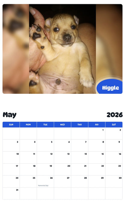 2026 - 2027 Higgle - Pawidols Pet Calendar