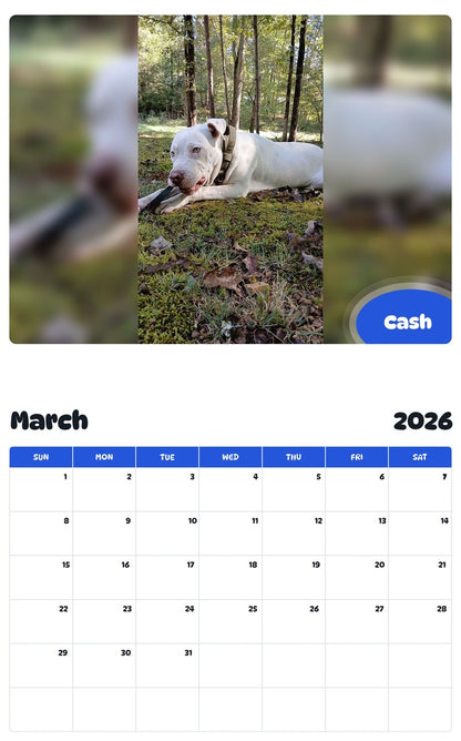 November 2025 - October 2026 Cash - Pawidols Pet Calendar
