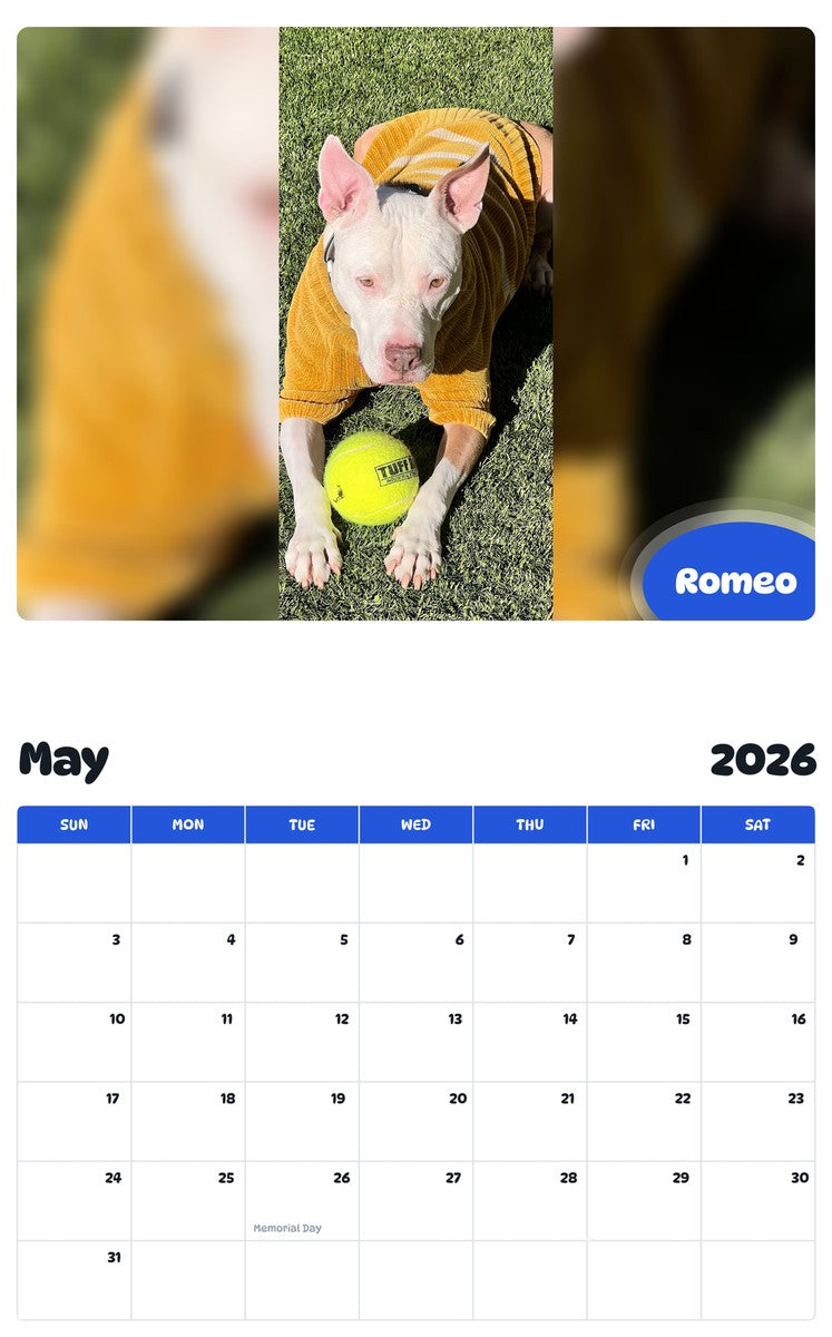 2026 - 2027 Romeo - Pawidols Pet Calendar
