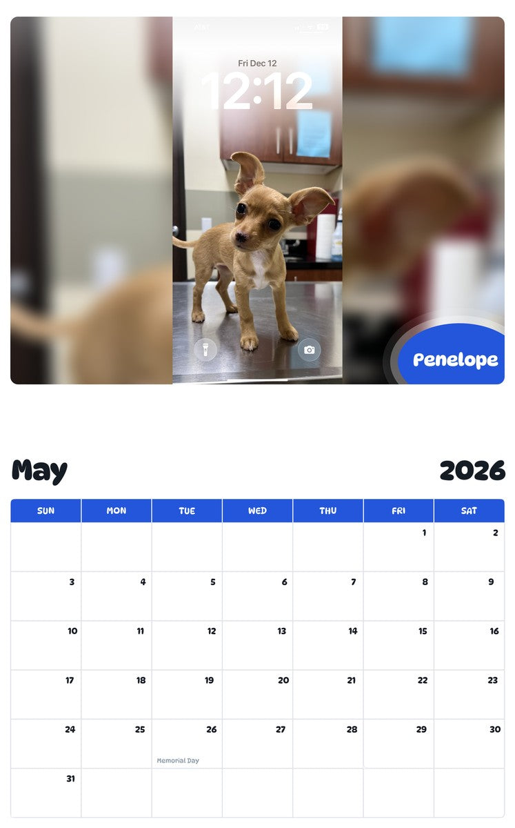 2026 - 2027 Penelope - Pawidols Pet Calendar