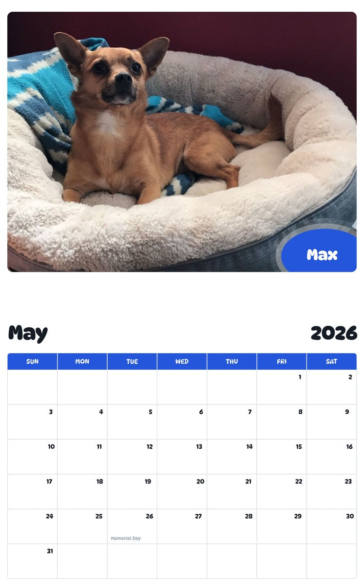 2026 - 2027 Max - Pawidols Pet Calendar