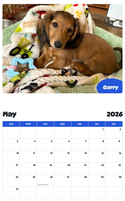 2026 - 2027 Garry - Pawidols Pet Calendar
