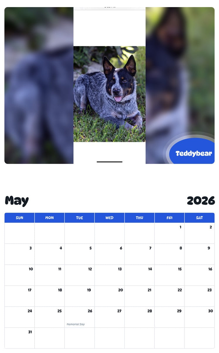 2026 - 2027 Teddybear - Pawidols Pet Calendar