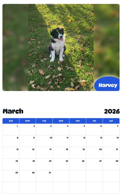 November 2025 - October 2026 Harvey - Pawidols Pet Calendar