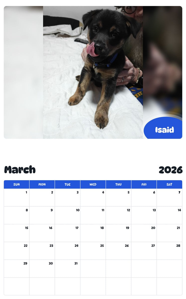 November 2025 - October 2026 Isaid - Pawidols Pet Calendar