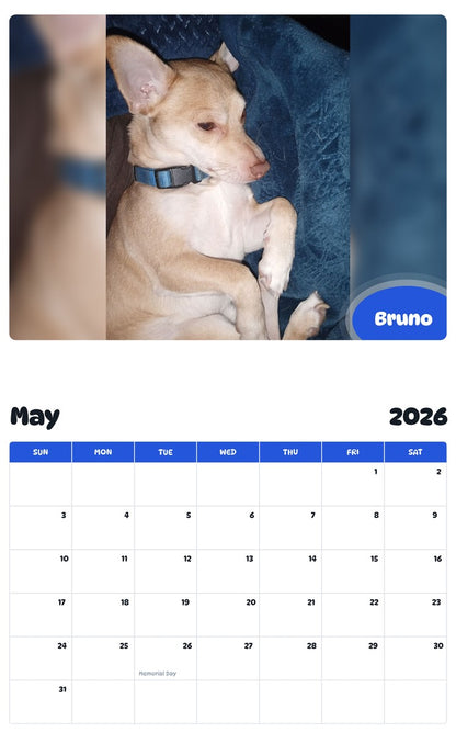 2026 - 2027 Bruno - Pawidols Pet Calendar