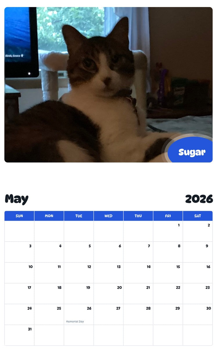 2026 - 2027 Sugar - Pawidols Pet Calendar