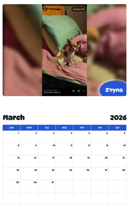 November 2025 - October 2026 Z'ryna - Pawidols Pet Calendar