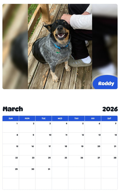 November 2025 - October 2026 Roddy - Pawidols Pet Calendar