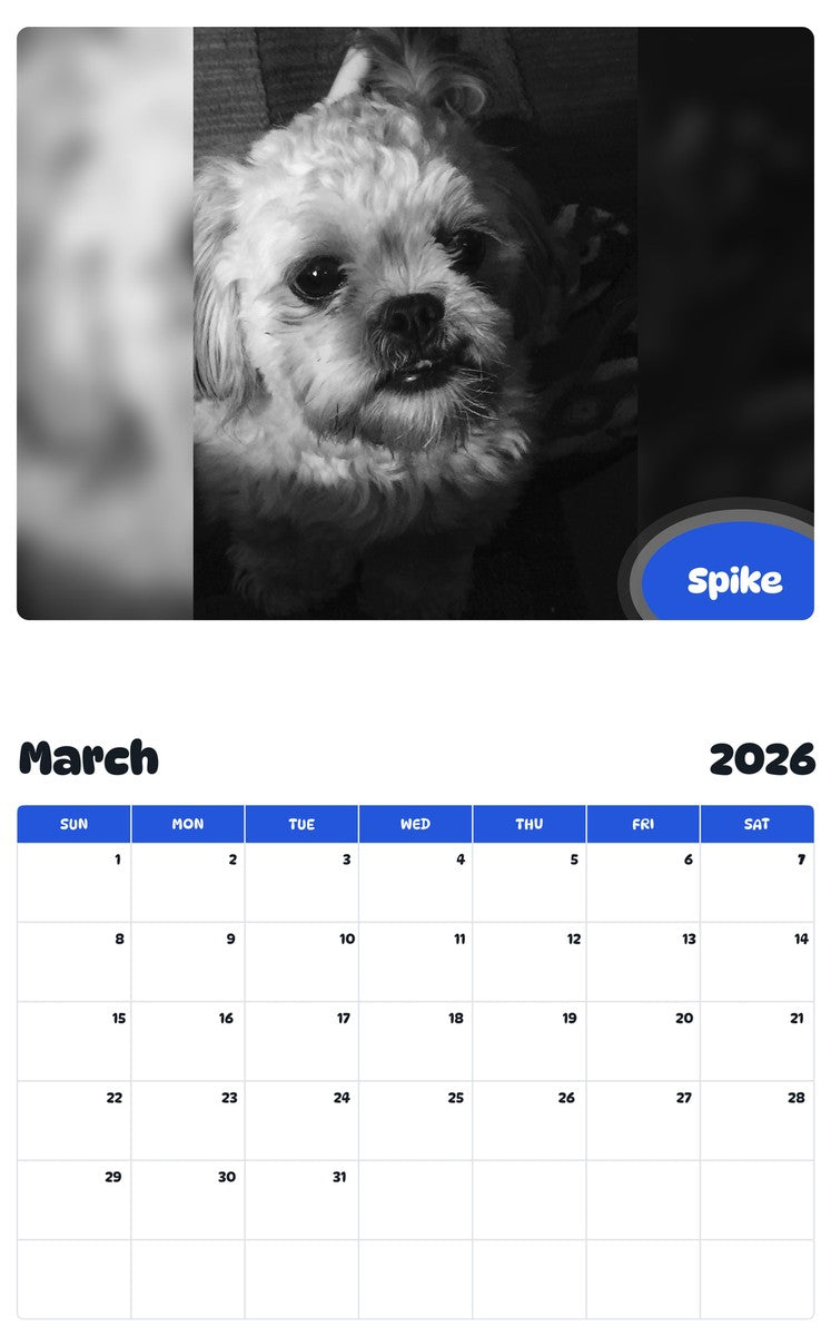 November 2025 - October 2026 Spike - Pawidols Pet Calendar