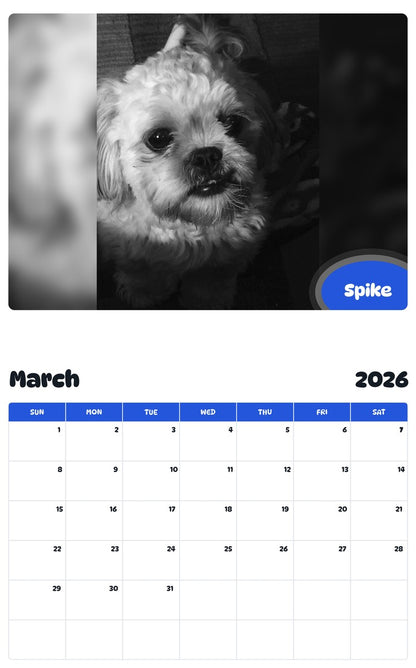 November 2025 - October 2026 Spike - Pawidols Pet Calendar