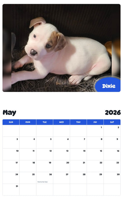 2026 - 2027 Dixie - Pawidols Pet Calendar