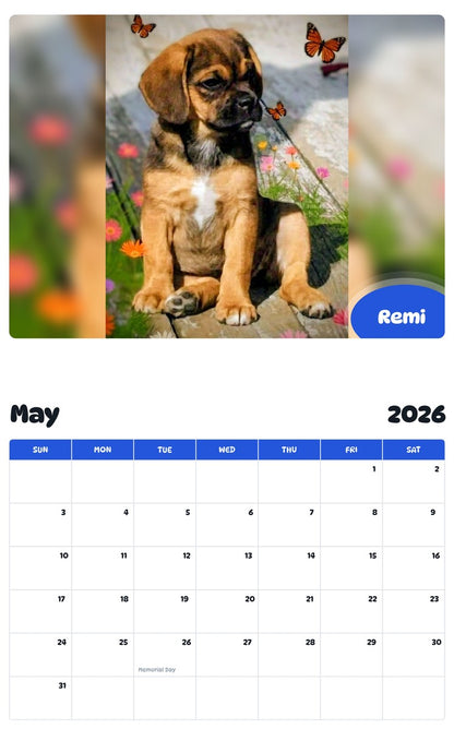 2026 - 2027 Remi - Pawidols Pet Calendar