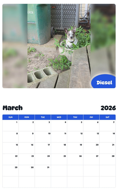 November 2025 - October 2026 Diesel - Pawidols Pet Calendar