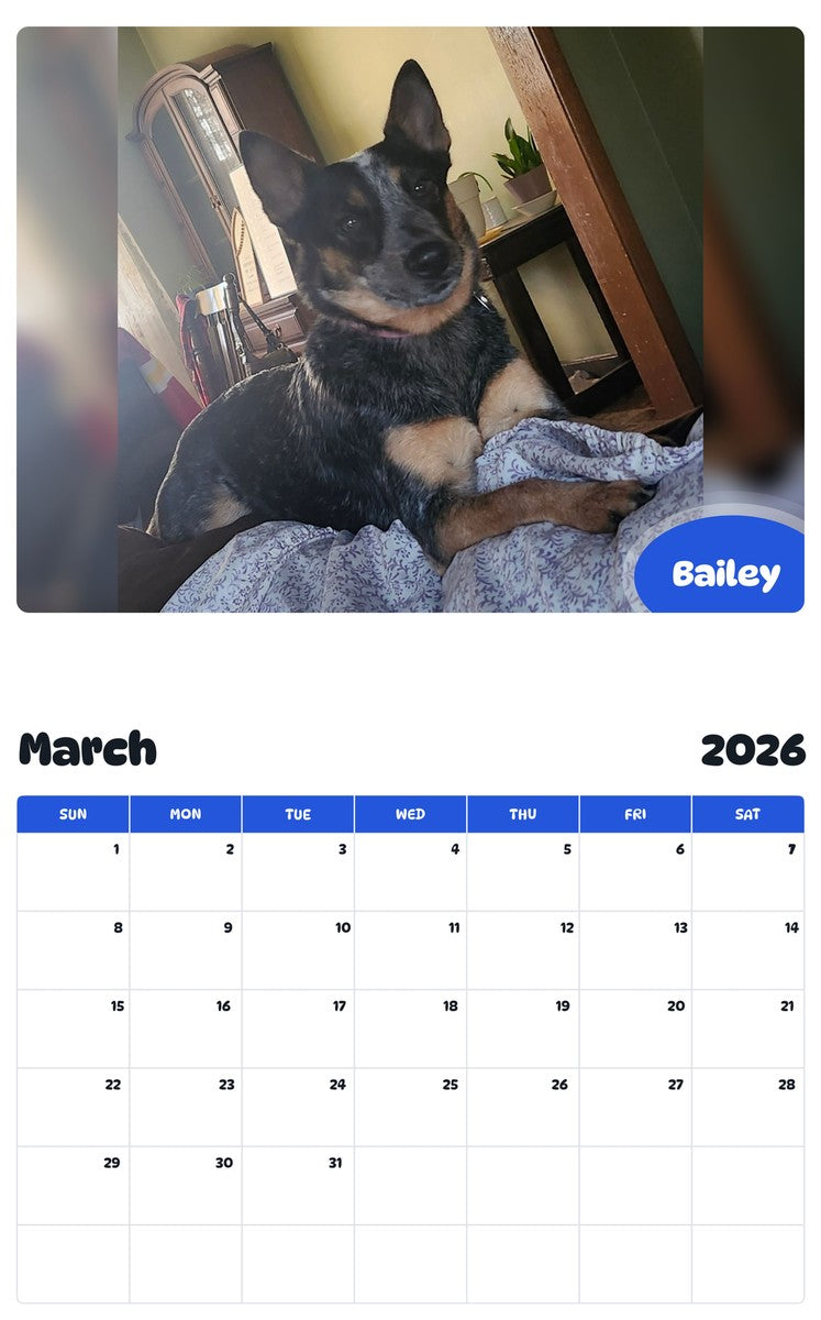 November 2025 - October 2026 Bailey - Pawidols Pet Calendar