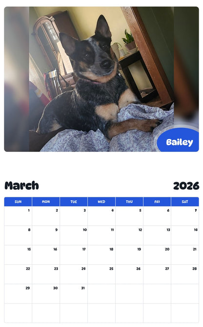November 2025 - October 2026 Bailey - Pawidols Pet Calendar
