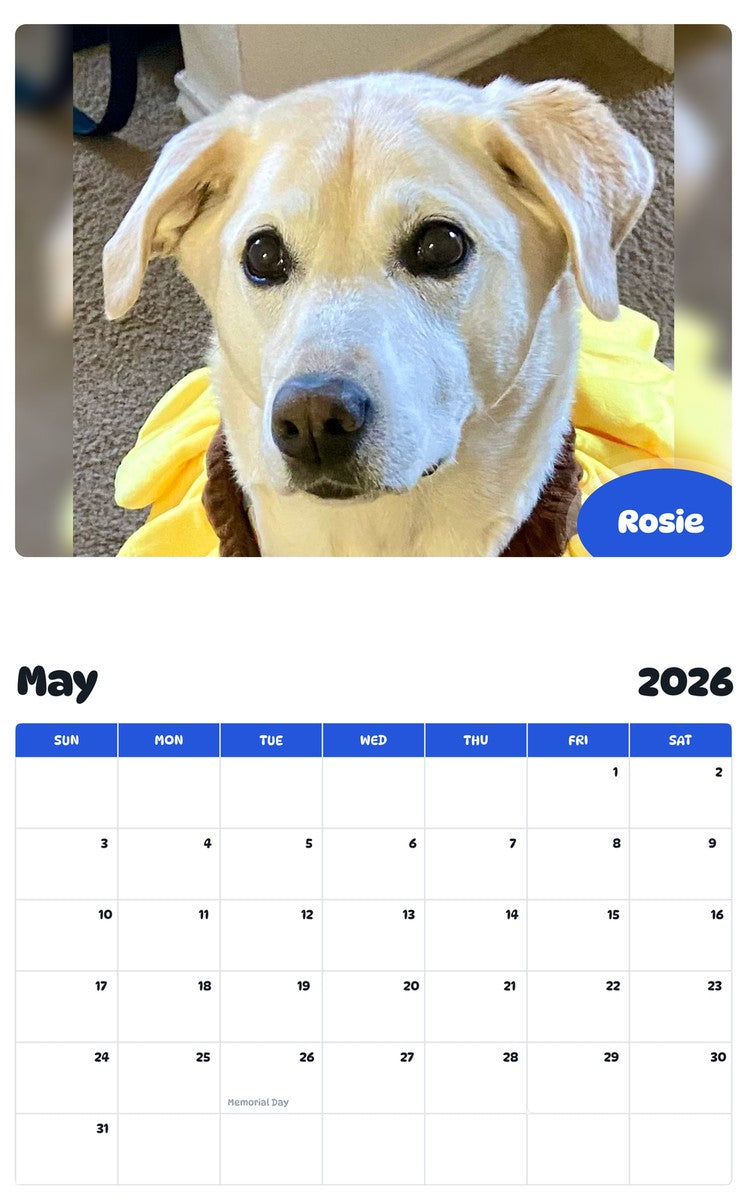 2026 - 2027 Rosie - Pawidols Pet Calendar