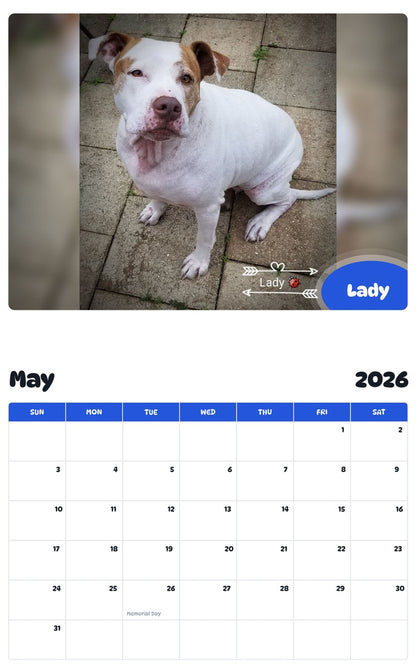 2026 - 2027 Lady - Pawidols Pet Calendar