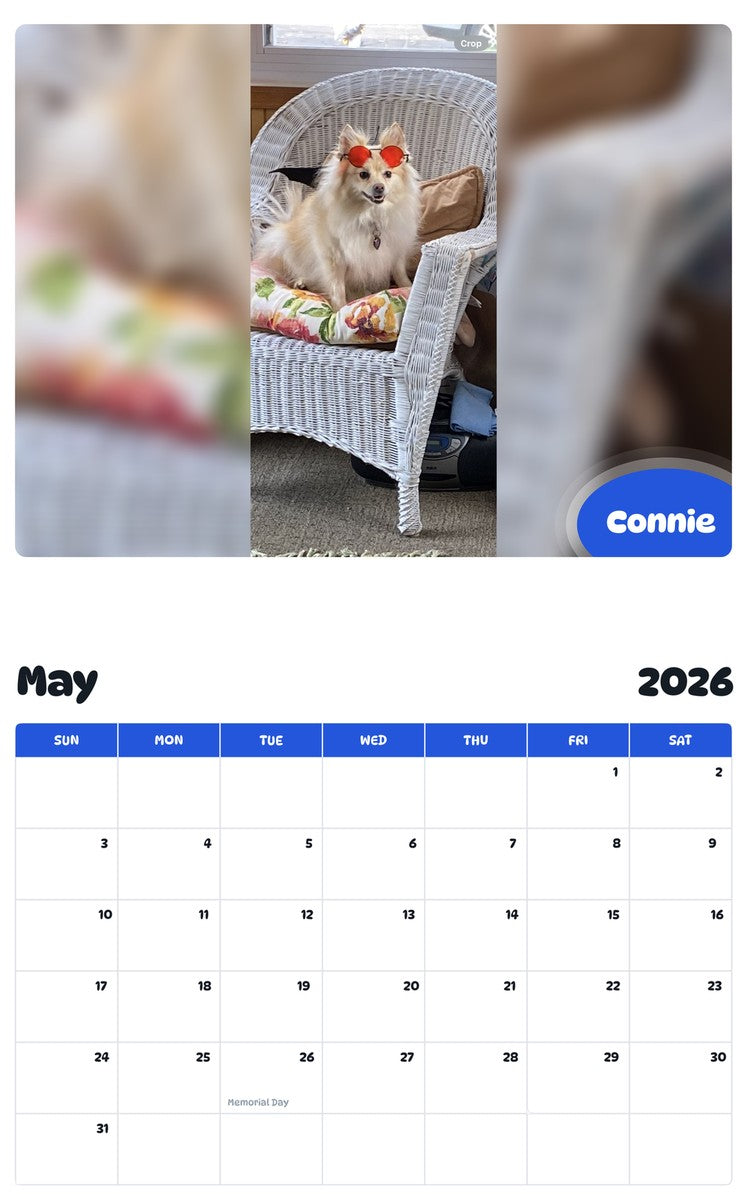 2026 - 2027 Connie - Pawidols Pet Calendar