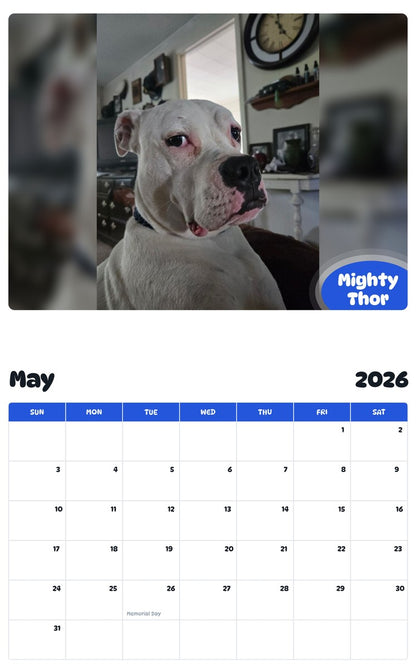 2026 - 2027 Mighty Thor - Pawidols Pet Calendar