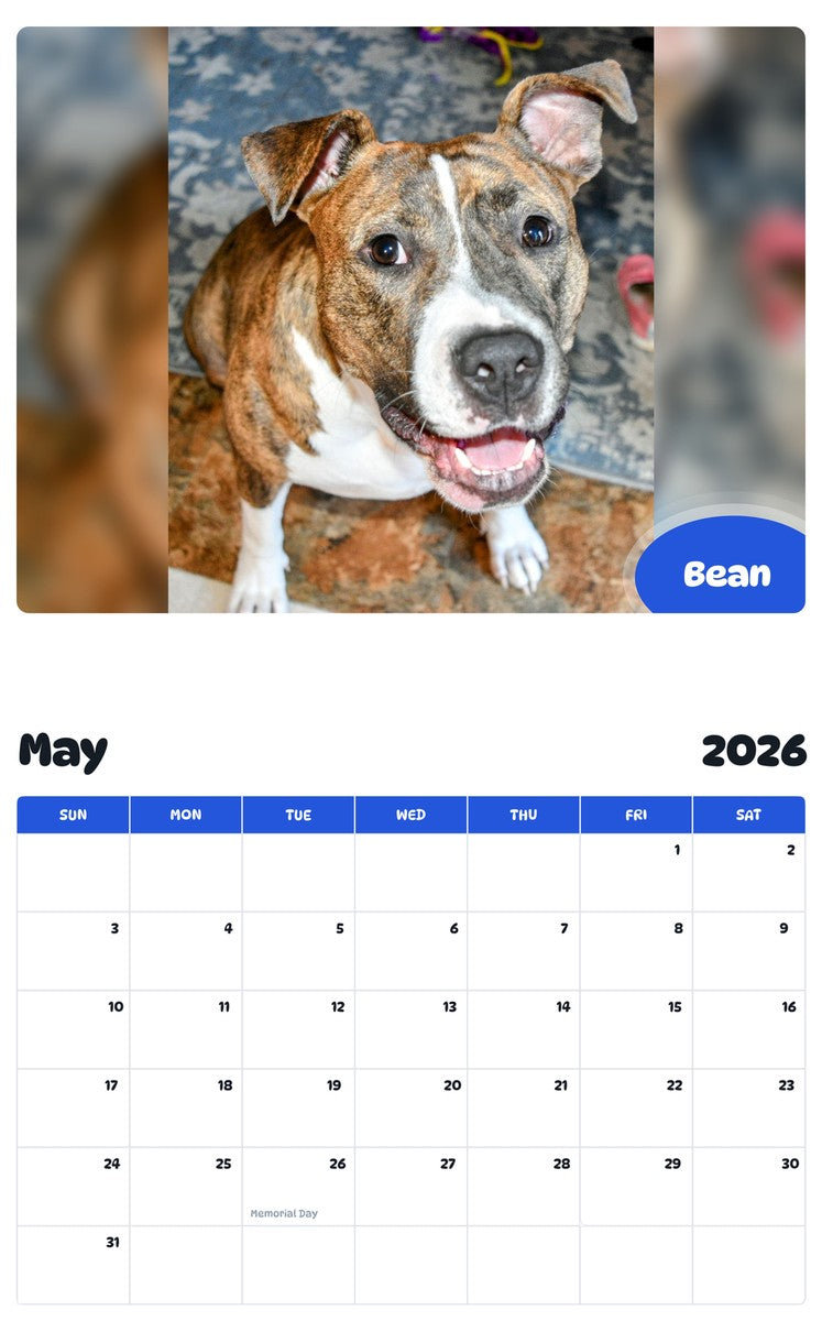 2026 - 2027 Bean - Pawidols Pet Calendar