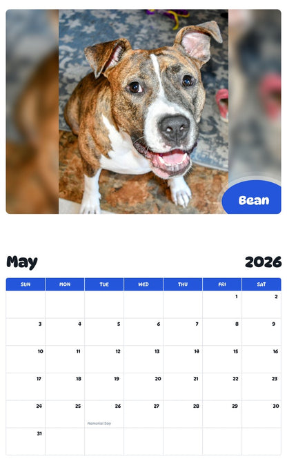 2026 - 2027 Bean - Pawidols Pet Calendar