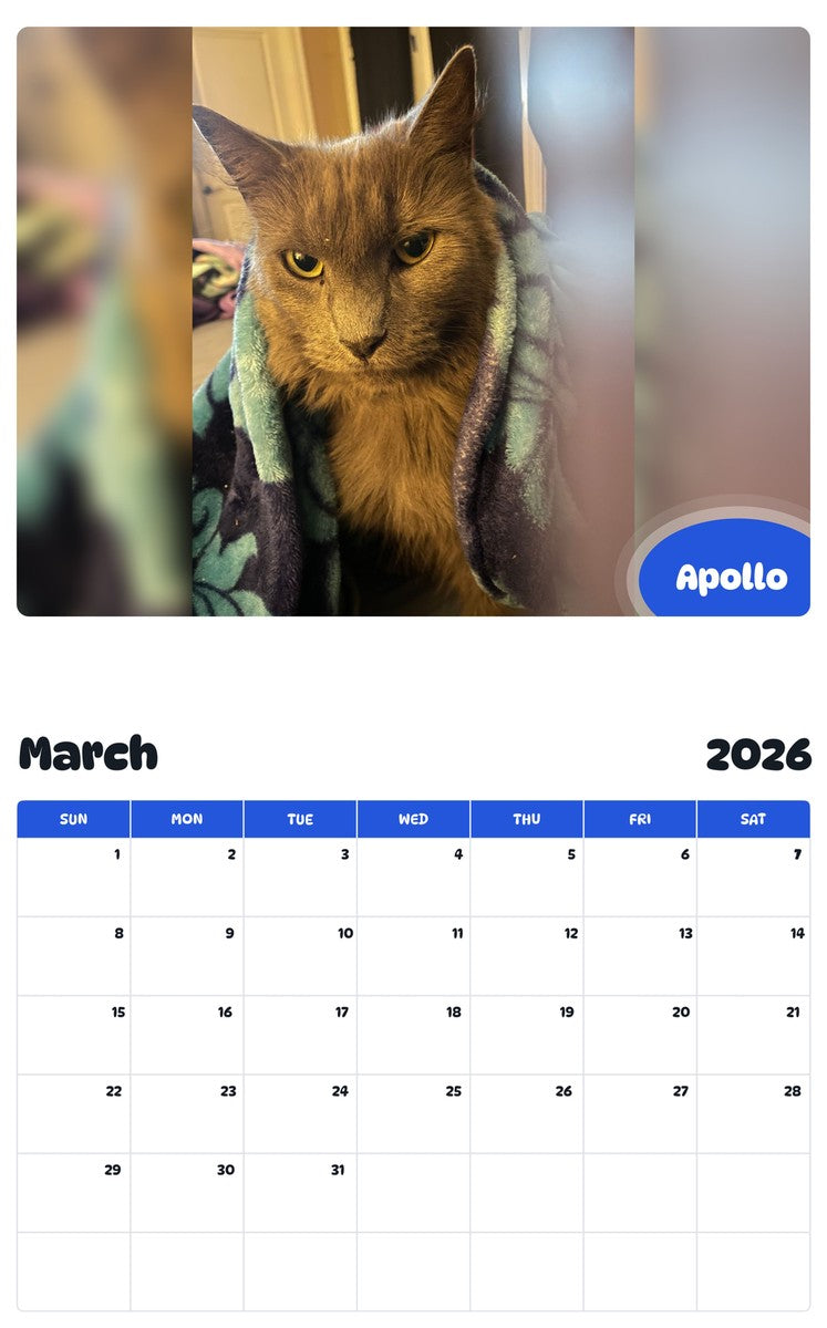 November 2025 - October 2026 Apollo - Pawidols Pet Calendar