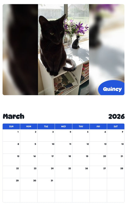 November 2025 - October 2026 Quincy - Pawidols Pet Calendar