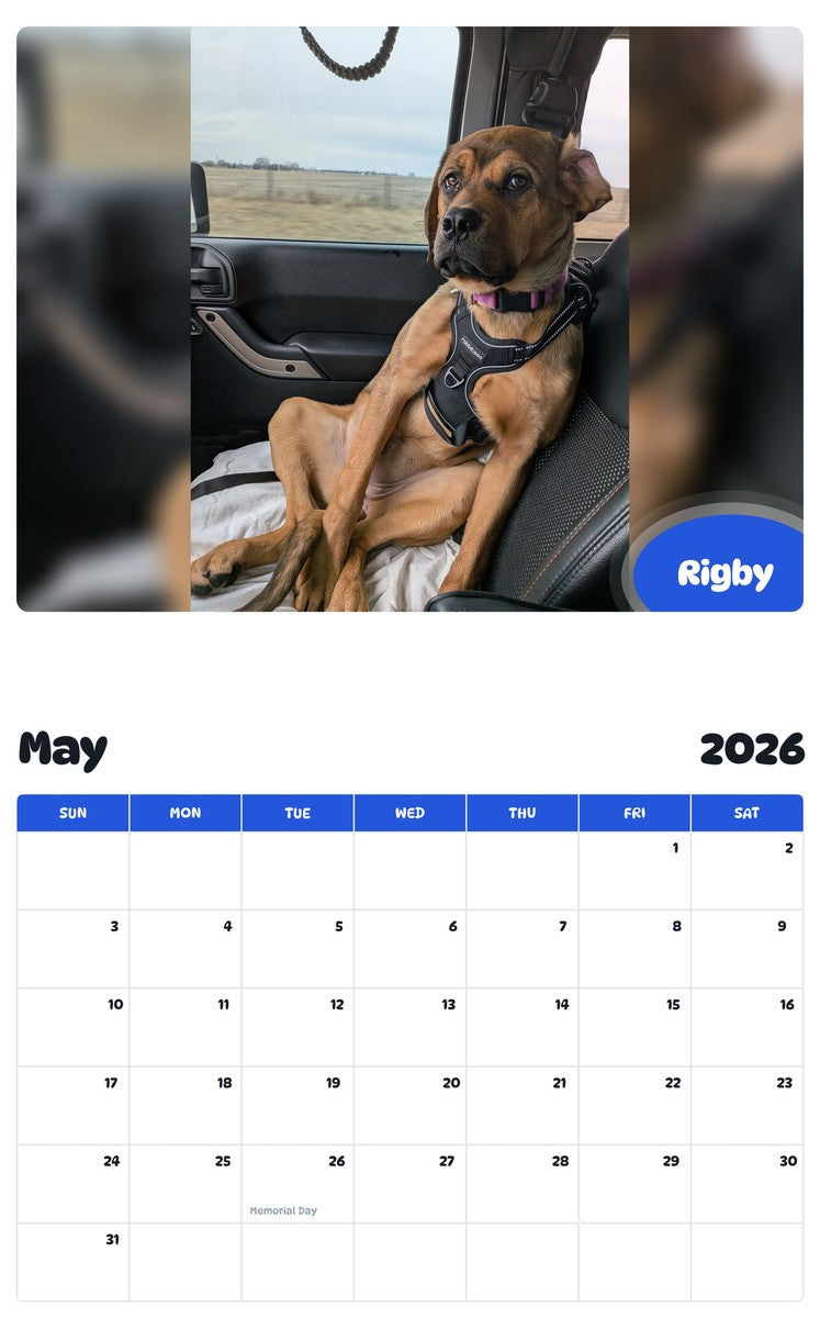 2026 - 2027 Rigby - Pawidols Pet Calendar