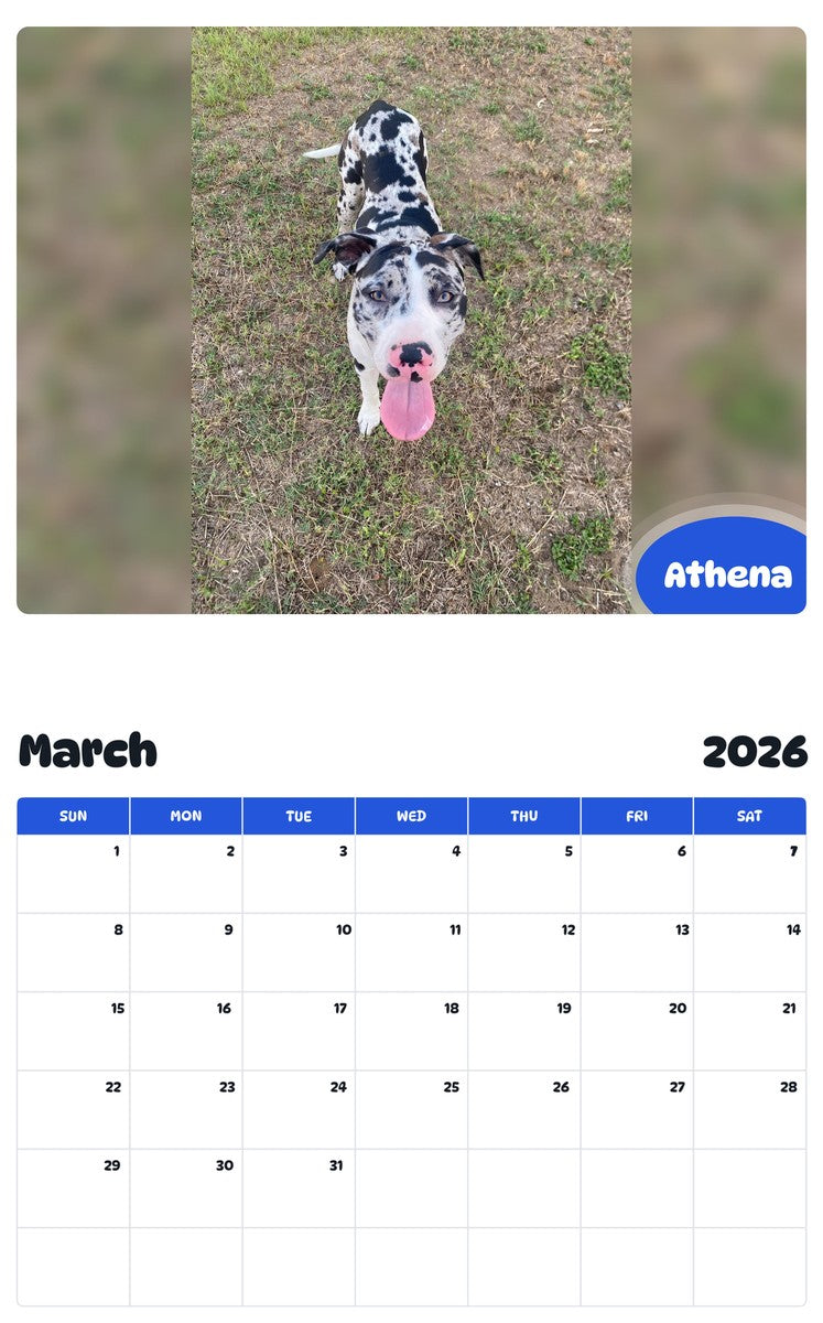 November 2025 - October 2026 Athena - Pawidols Pet Calendar