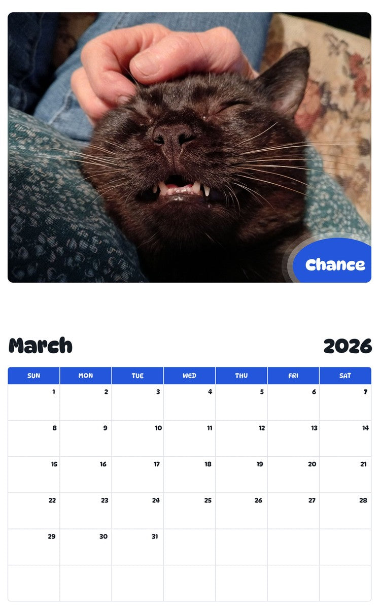 November 2025 - October 2026 Chance - Pawidols Pet Calendar