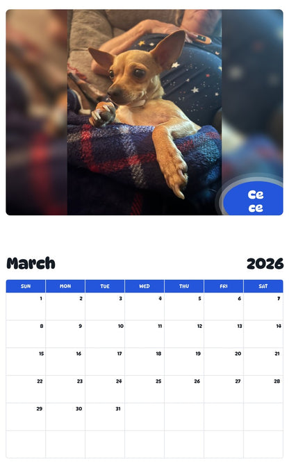 November 2025 - October 2026 Ce ce - Pawidols Pet Calendar