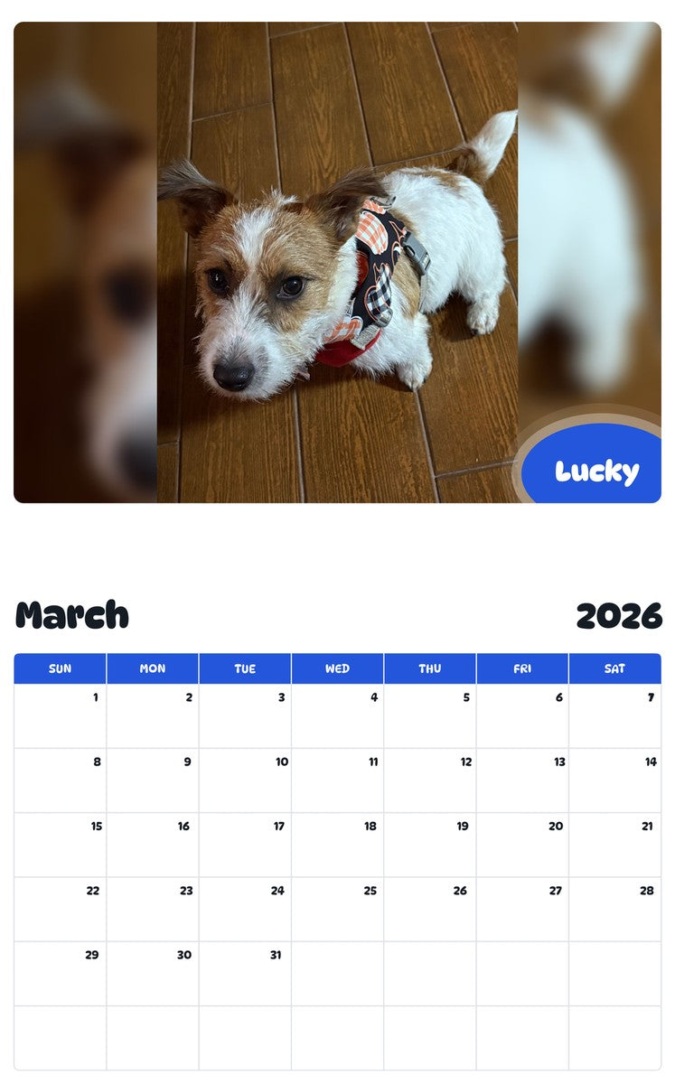 November 2025 - October 2026 Lucky - Pawidols Pet Calendar