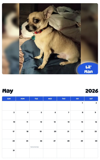 2026 - 2027 Lil' Man - Pawidols Pet Calendar