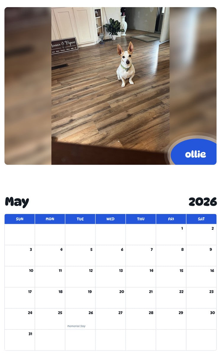 2026 - 2027 ollie - Pawidols Pet Calendar