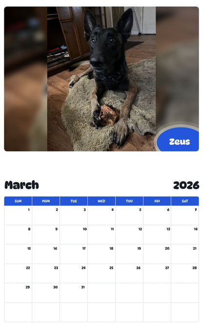 November 2025 - October 2026 Zeus - Pawidols Pet Calendar