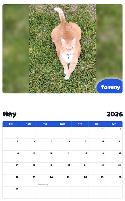 2026 - 2027 Tommy - Pawidols Pet Calendar