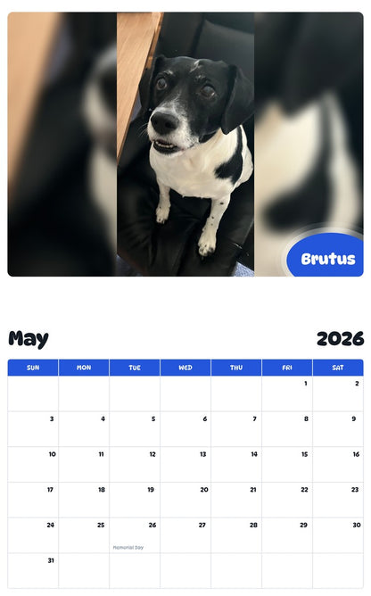 2026 - 2027 Brutus - Pawidols Pet Calendar