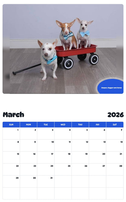 November 2025 - October 2026 Jasper, Jagger and Jeree - Pawidols Pet Calendar