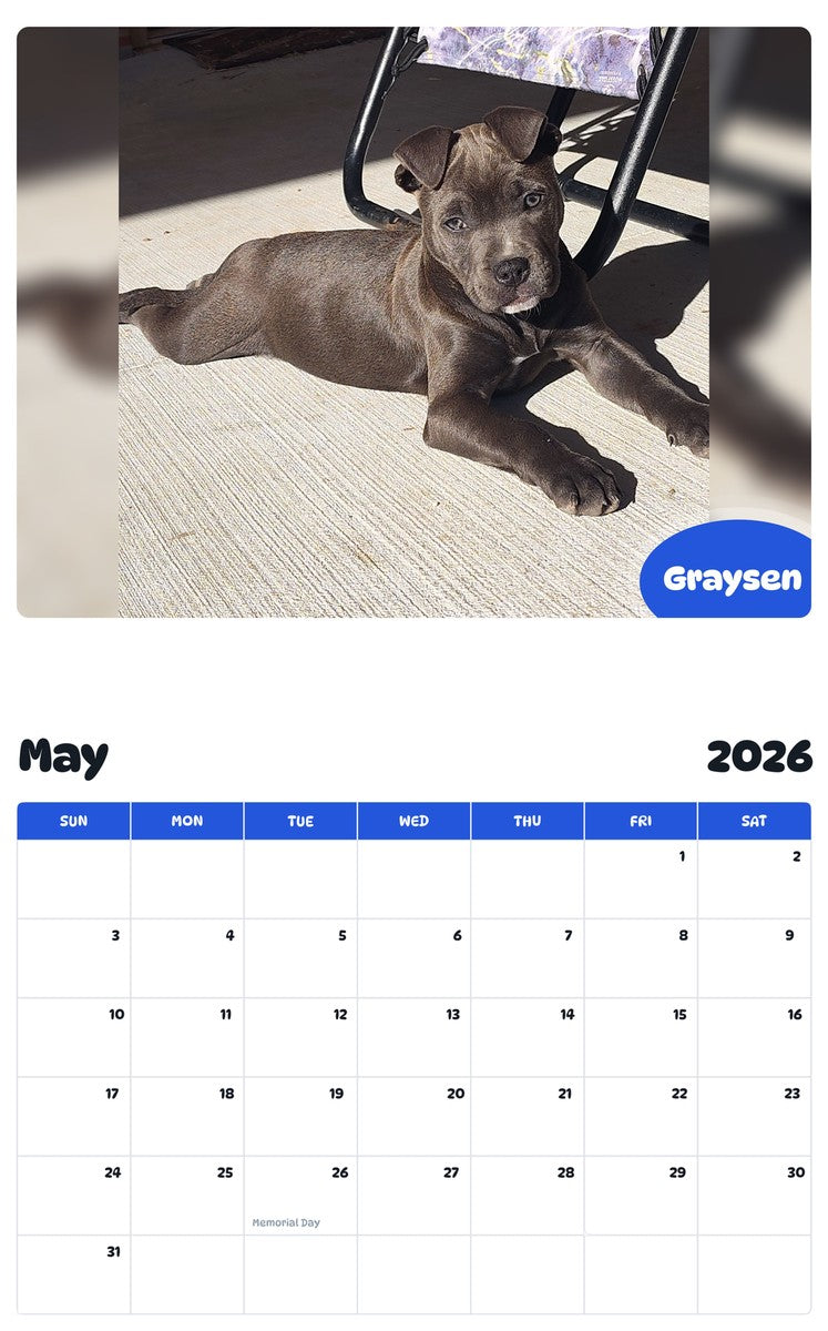 2026 - 2027 Graysen - Pawidols Pet Calendar
