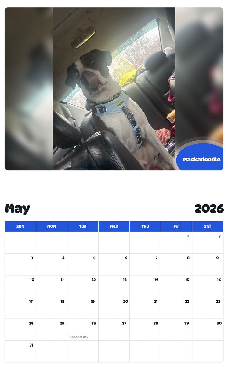 2026 - 2027 Mackadoodle - Pawidols Pet Calendar