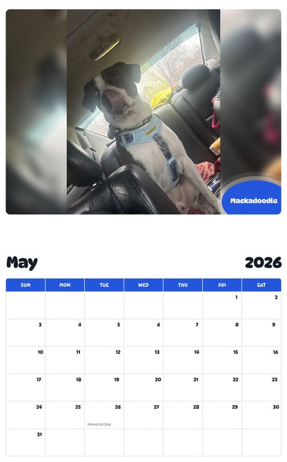 2026 - 2027 Mackadoodle - Pawidols Pet Calendar