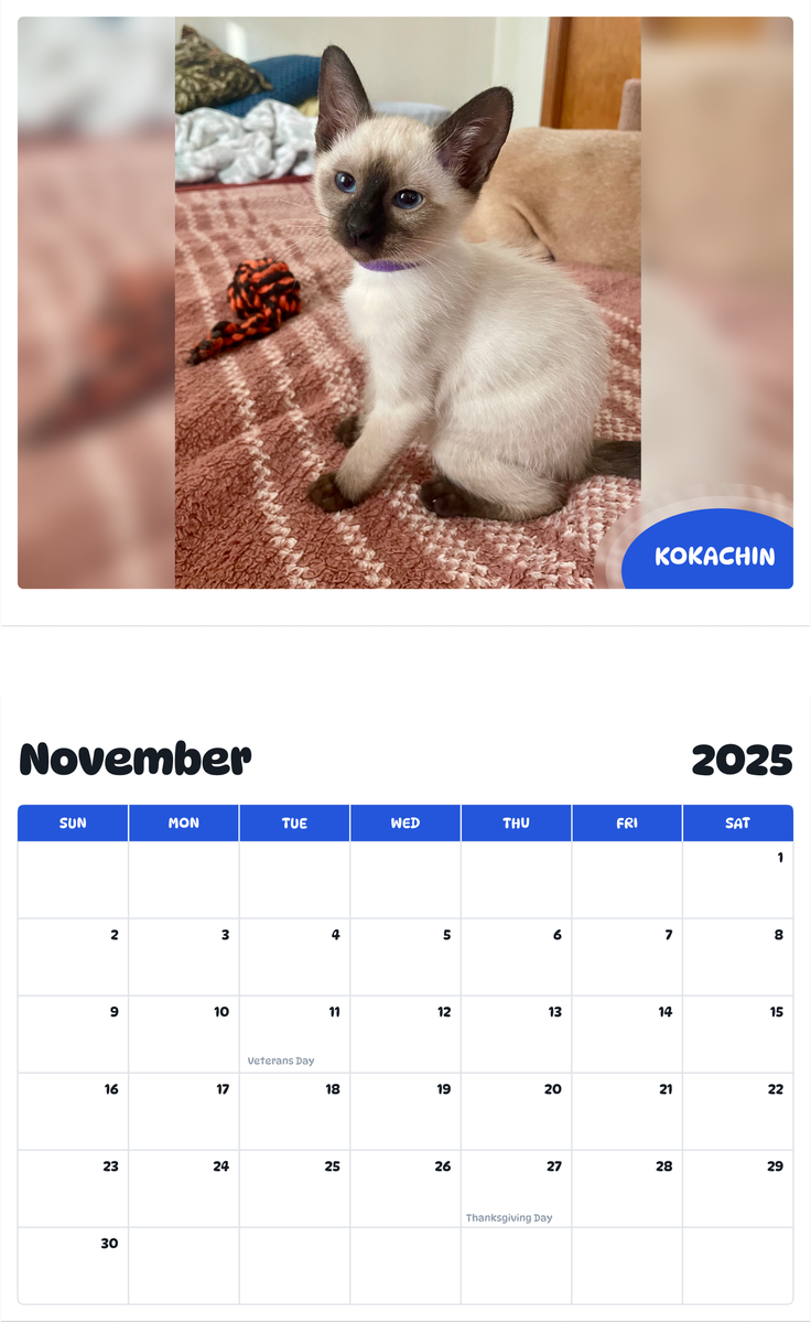 July 2025 - June 2026 Kokachin - Pawidols Pet Calendar