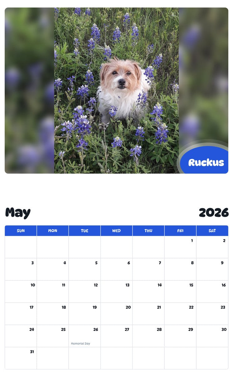 2026 - 2027 Ruckus - Pawidols Pet Calendar