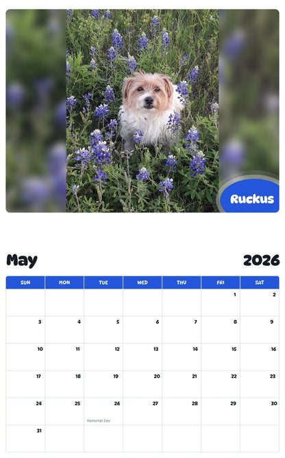 2026 - 2027 Ruckus - Pawidols Pet Calendar